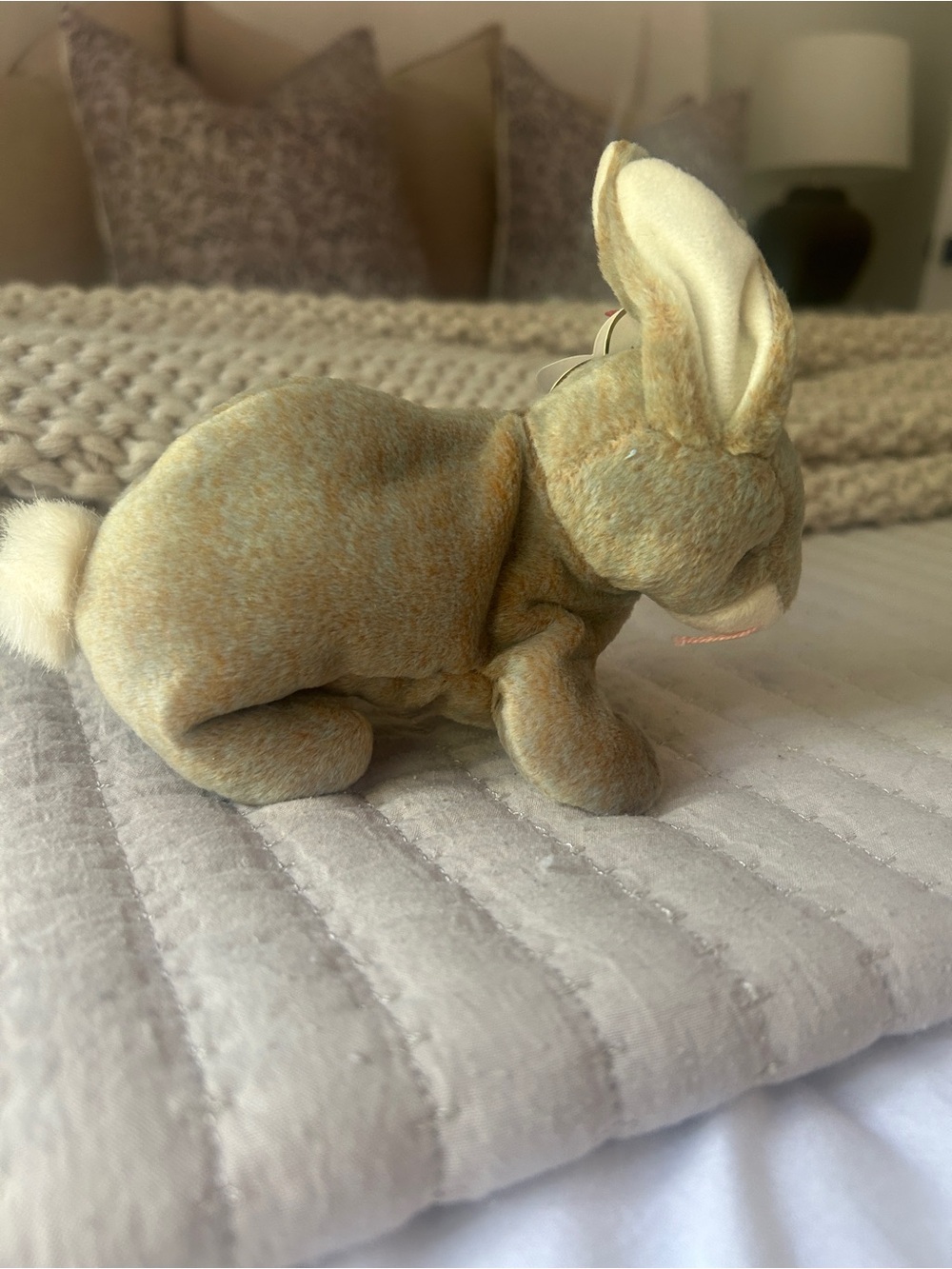 Ty Beanie Baby Nibbly the Bunny Rabbit Plush DOB May 7, 1998 w/ Tag